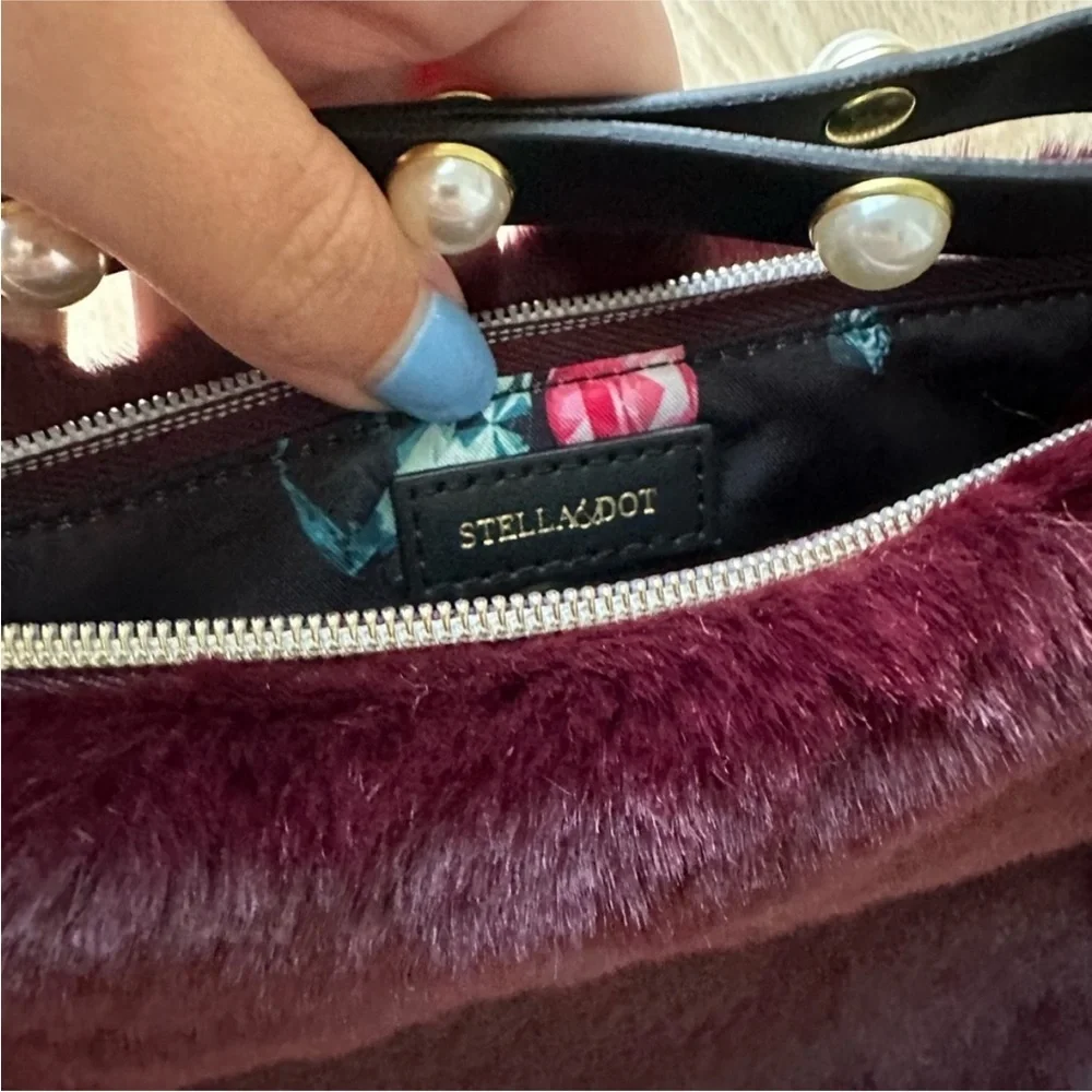 Stella & Dot Clutch